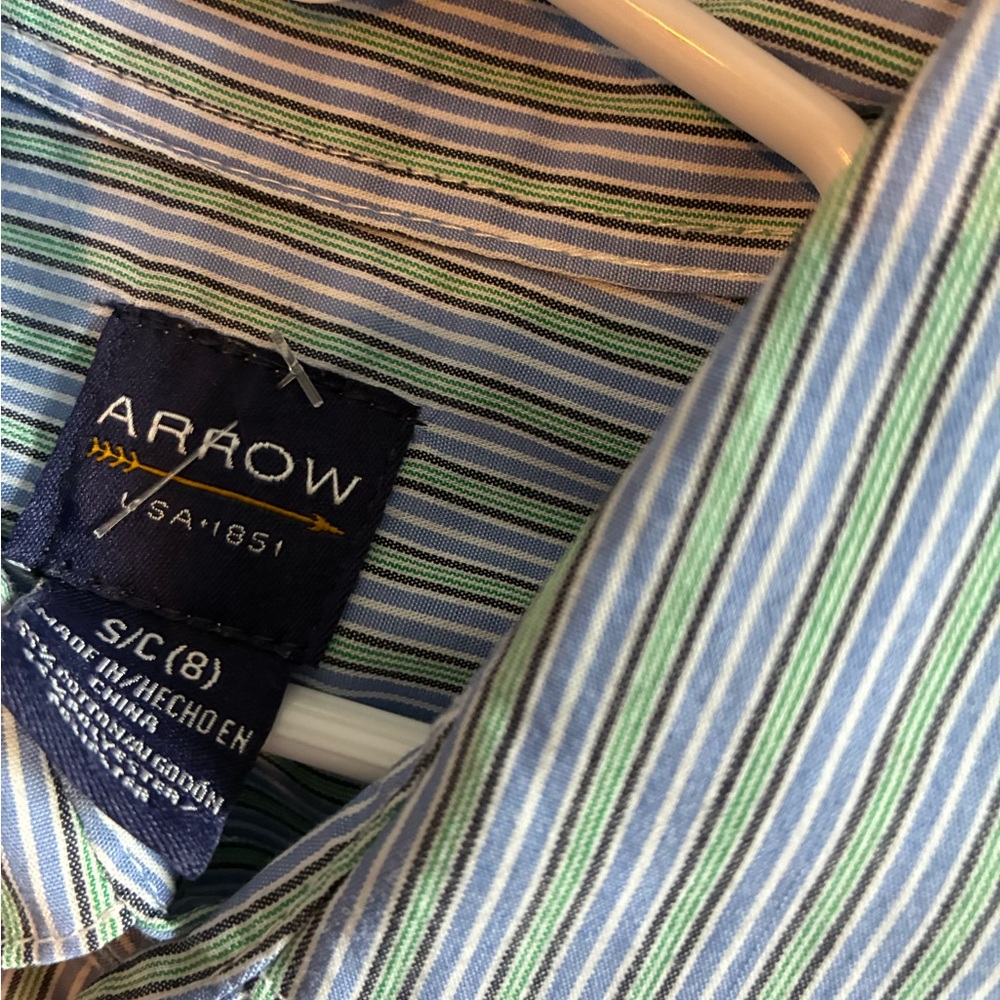 Arrow Men's Blue and Green Striped Casual Shirt